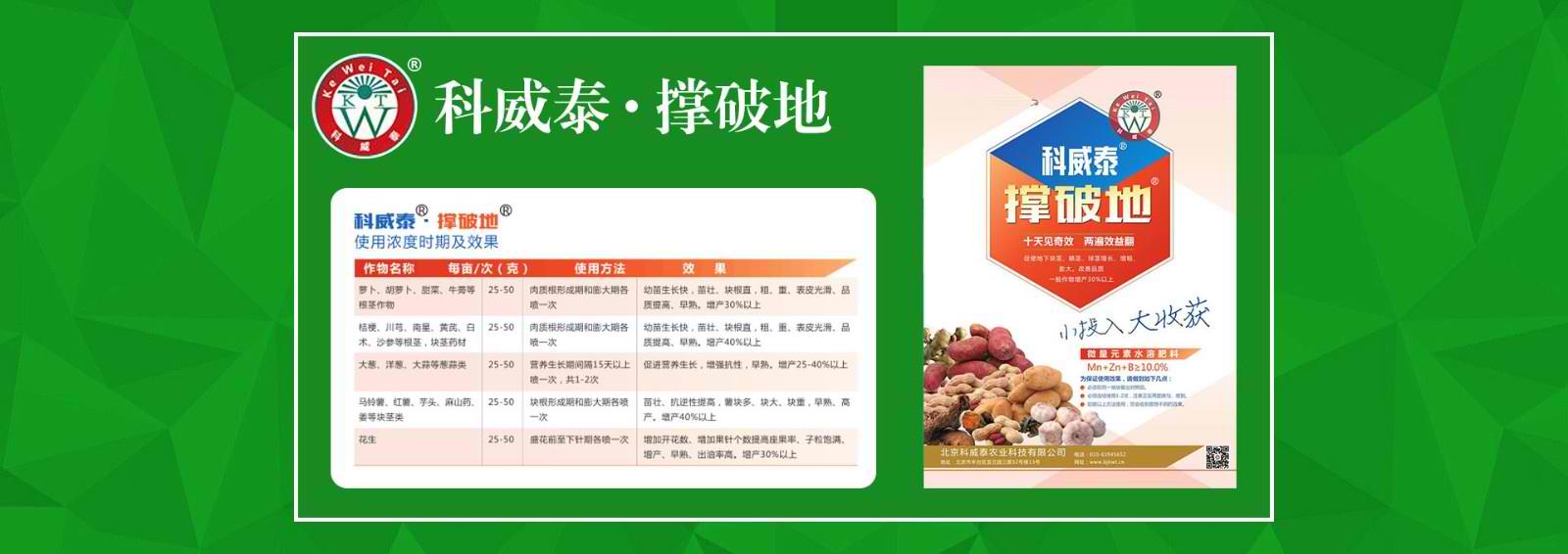 qq扑克官方下载电脑版
